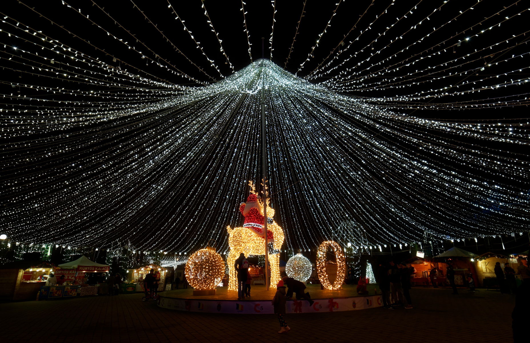 Lighted Reindeer Decor